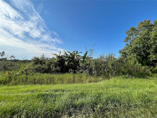 Listing photo 2 for 19466 NW 258th St, Okeechobee FL 34972