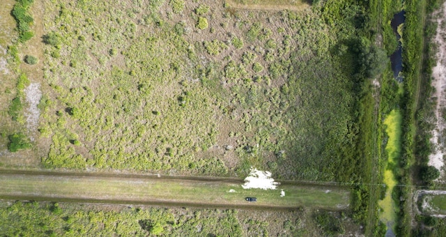 18569 NW 250th St, Okeechobee, FL 34972 - photo 2