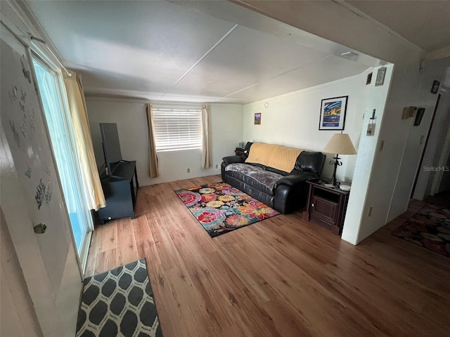 living room with hardwood / wood-style floors