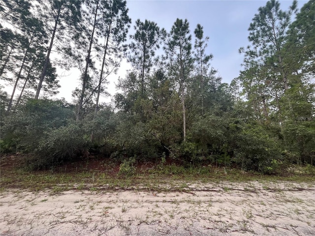 119 Gardenia Ave, Georgetown FL, 32139 land for sale