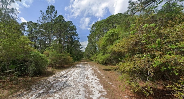 120 Gardenia Ave, Georgetown, FL 32139