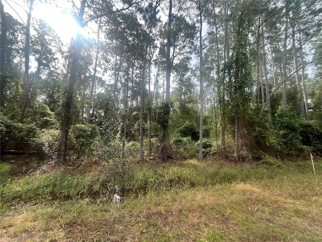 223 SE 2nd St, Georgetown FL, 32139 land for sale