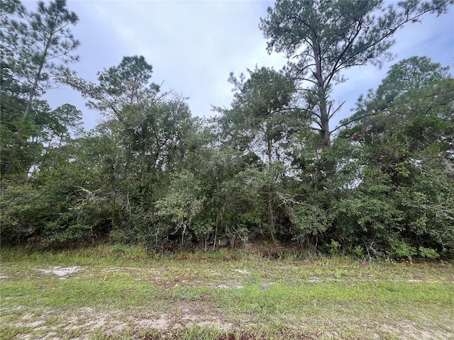 107 Pine Ave, Georgetown FL, 32139 land for sale