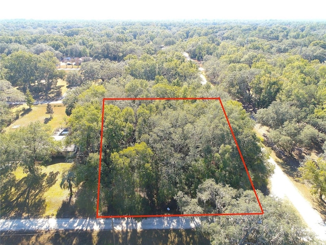 139th Ct, Dunnellon FL, 34432 land for sale