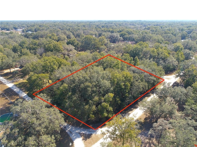 Listing photo 3 for 139th Ct, Dunnellon FL 34432