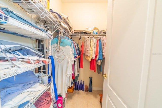 walk in closet with carpet floors