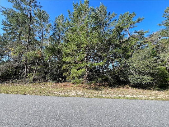 SW 34th, Ocala FL, 34473 land for sale