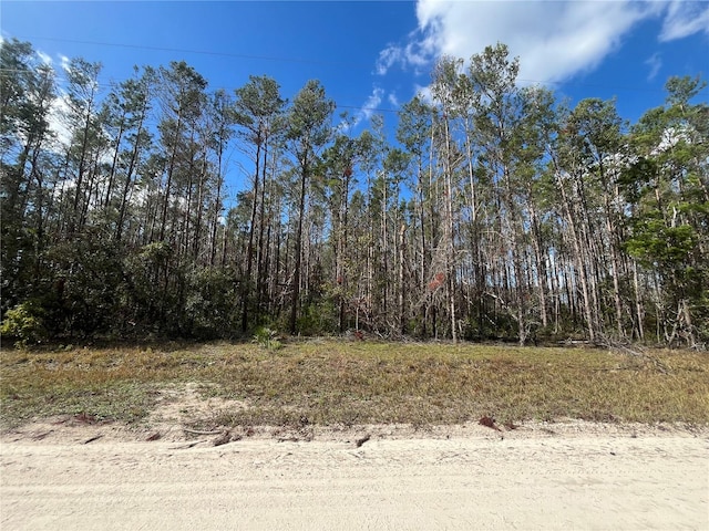 Listing photo 3 for Atlantic St, Perry FL 32348