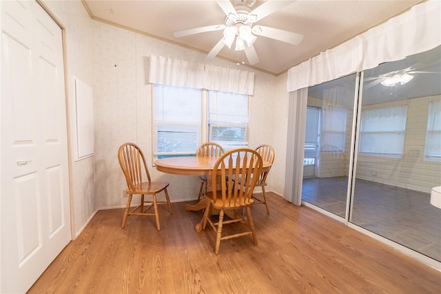 dining room with a textured ceiling, light hardwood / wood-style flooring, ceiling fan, and ornamental molding