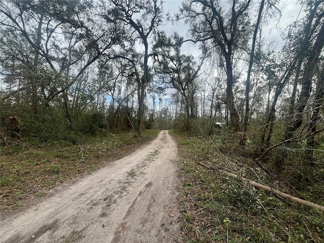 Listing photo 3 for NW Fox Run Trl, Mayo FL 32066