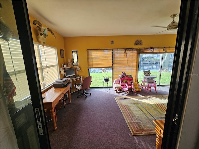 office space featuring ceiling fan, plenty of natural light, and carpet floors