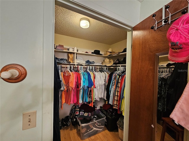 spacious closet with hardwood / wood-style floors