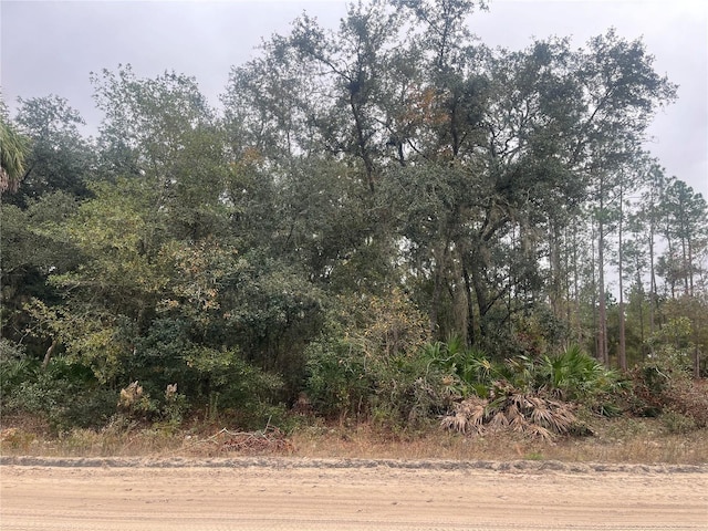 Hudson, Interlachen FL, 32148 land for sale