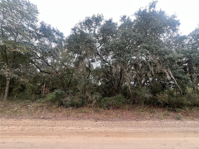 Hudson, Interlachen FL, 32148 land for sale