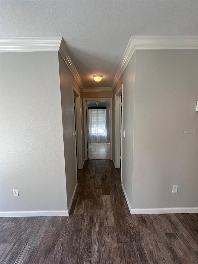 hallway featuring dark hardwood / wood-style flooring and crown molding