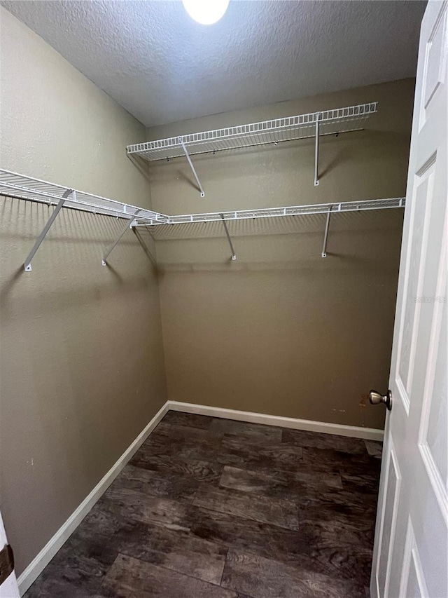 spacious closet featuring dark hardwood / wood-style flooring