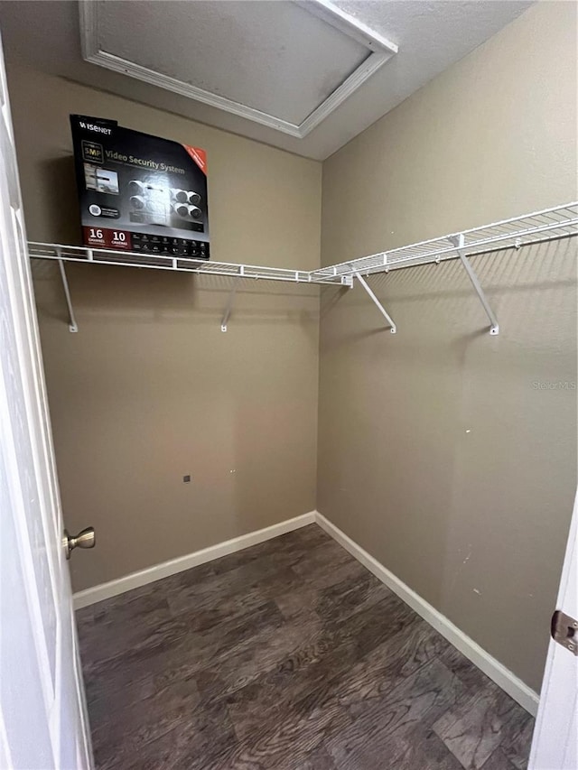 spacious closet featuring dark hardwood / wood-style flooring