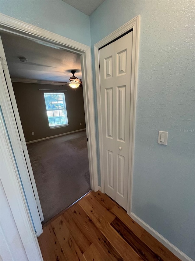 hall with wood-type flooring