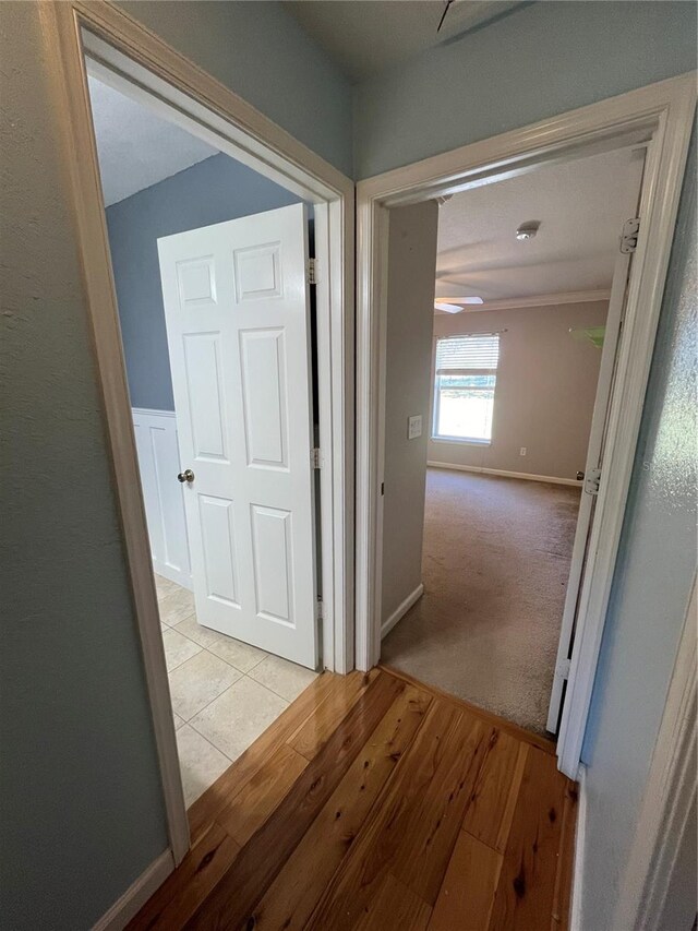 hall featuring light hardwood / wood-style floors