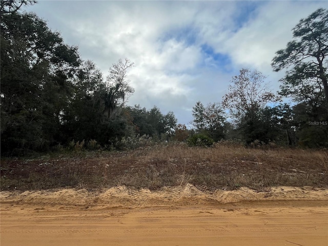 Marion Ave, Interlachen FL, 32148 land for sale