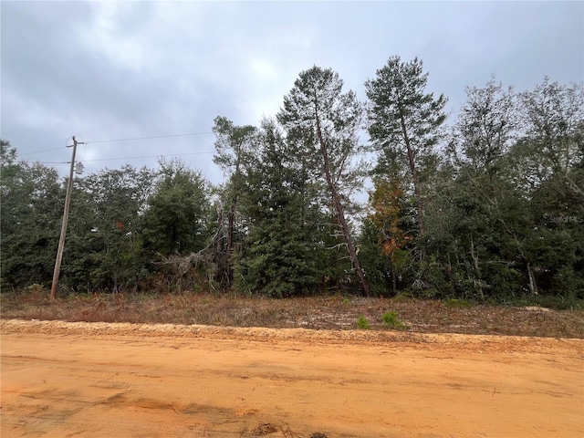 Neisman, Interlachen FL, 32148 land for sale