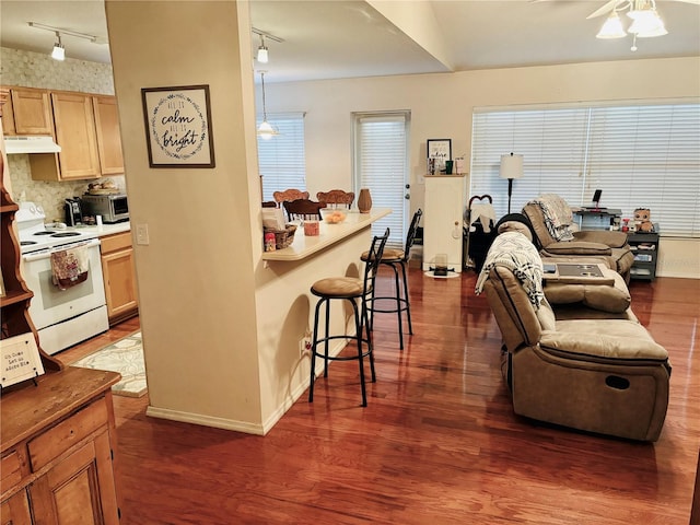 kitchen featuring white range with electric stovetop, dark hardwood / wood-style flooring, a wealth of natural light, and track lighting