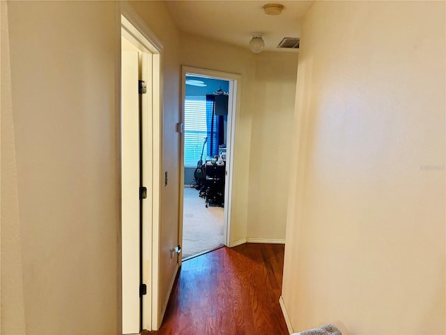 hall featuring dark wood-type flooring