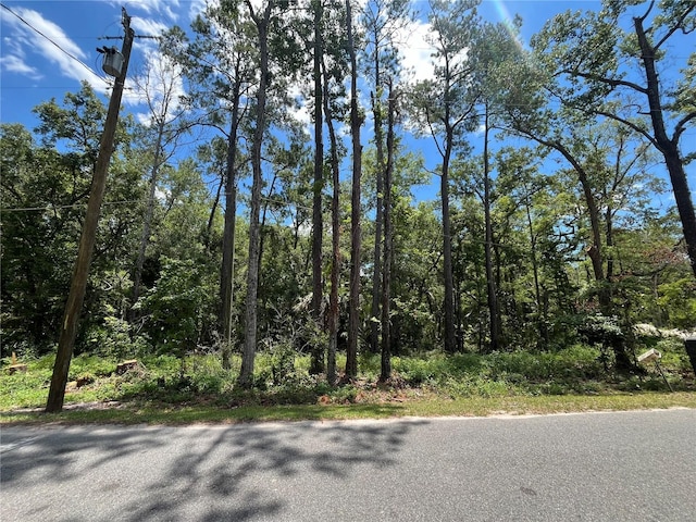 Franklin Dr, Crawfordville FL, 32327 land for sale