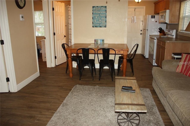 dining space featuring dark wood-type flooring