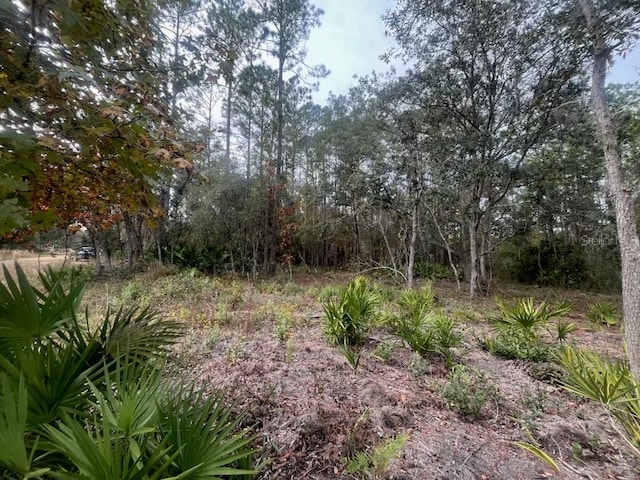 Robin, Interlachen FL, 32148 land for sale