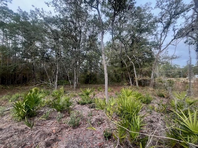 Listing photo 3 for Robin, Interlachen FL 32148