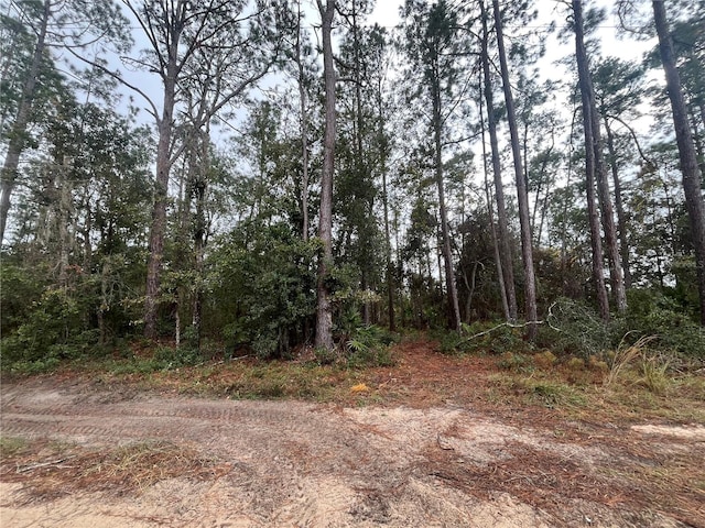 Susan St, Interlachen FL, 32148 land for sale