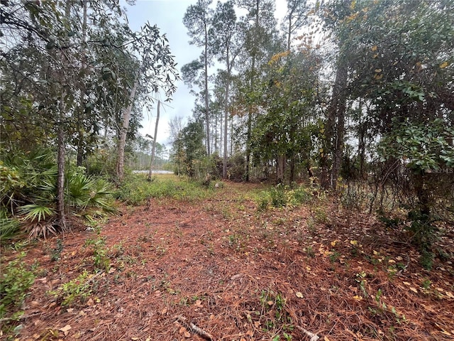 Listing photo 3 for Susan St, Interlachen FL 32148