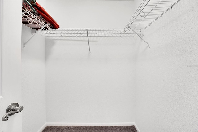 spacious closet with carpet flooring