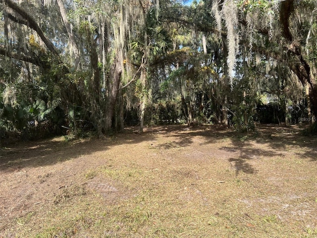 600 E Boyleston St, Interlachen FL, 32148 land for sale