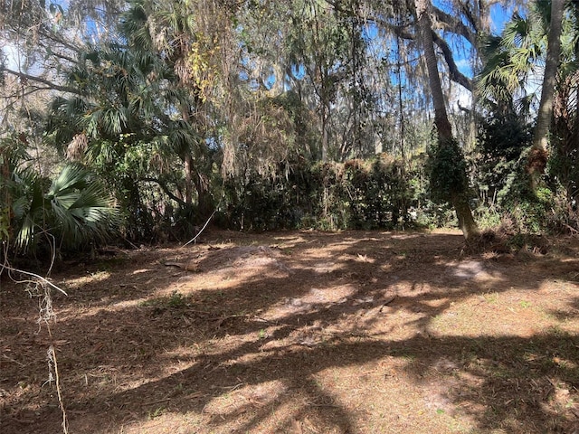 Listing photo 3 for 600 E Boyleston St, Interlachen FL 32148