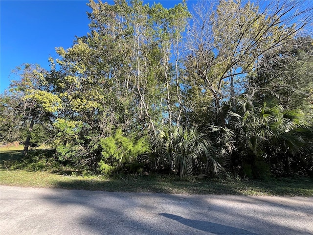 9667 S Lotus Pt, Homosassa FL, 34448 land for sale