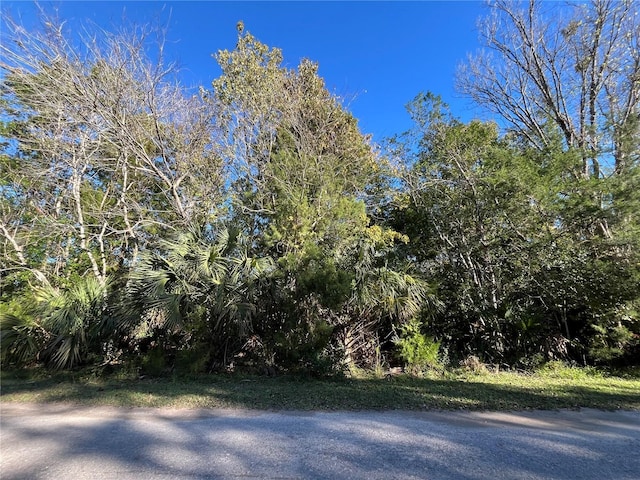 Listing photo 2 for 9667 S Lotus Pt, Homosassa FL 34448