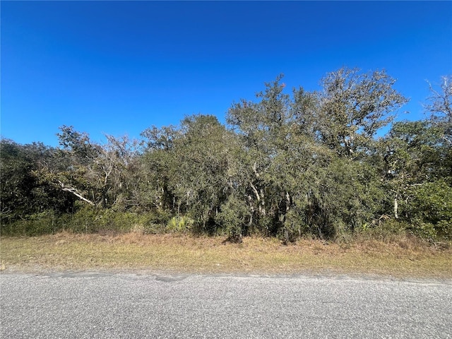 13589 SW 27th Cir, Ocala FL, 34473 land for sale