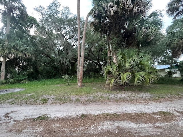 183rd Ave, Hawthorne FL, 32640 land for sale