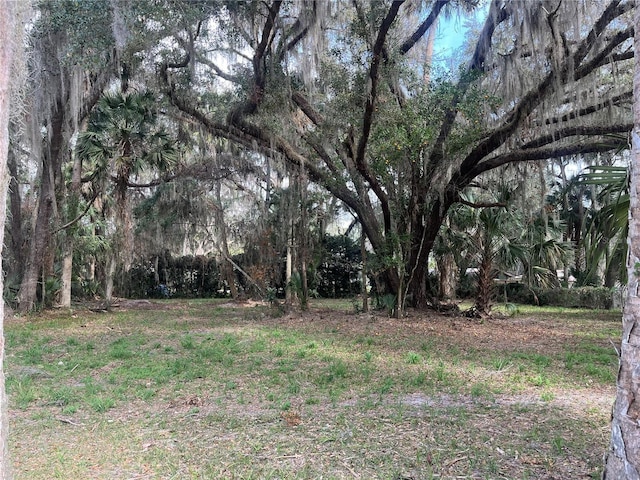 183rd Ave, Hawthorne, FL 32640