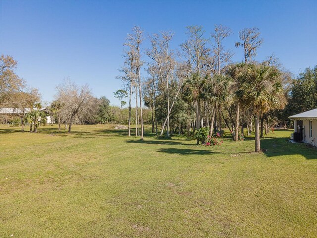 2245 Scott Rd, Fort Denaud, FL 33935 - photo 31