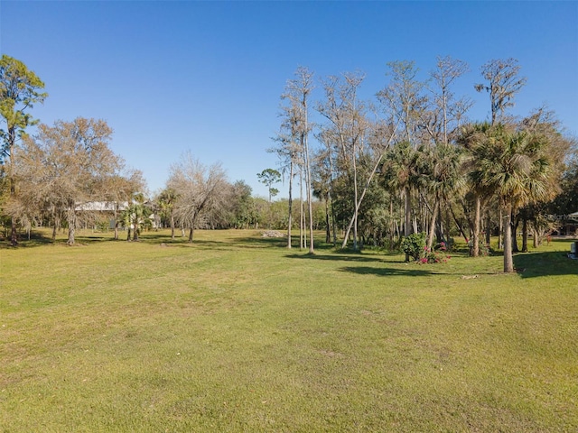 2245 Scott Rd, Fort Denaud, FL 33935 - photo 33