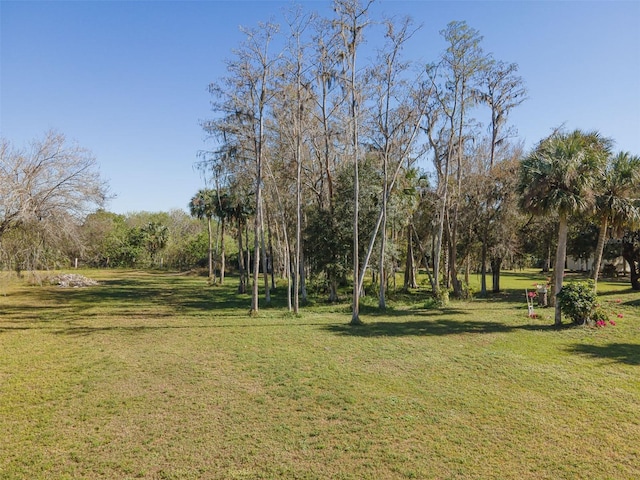 2245 Scott Rd, Fort Denaud, FL 33935 - photo 34