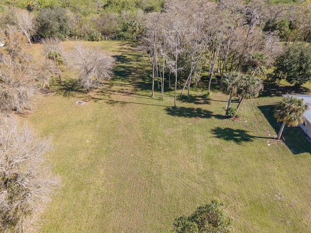 2245 Scott Rd, Fort Denaud, FL 33935 - photo 37