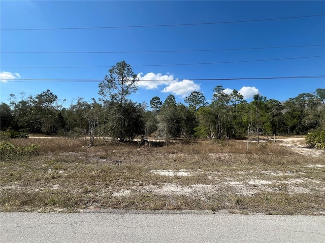 494 Burrstone Dr, Lehigh Acres FL, 33974 land for sale