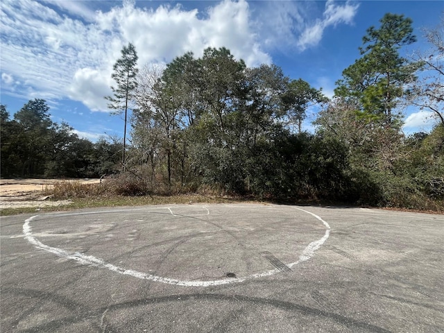 SW 151st Loop, Dunnellon FL, 34432 land for sale