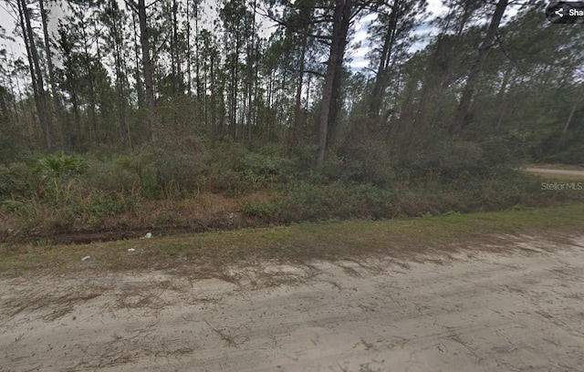 4375 Calvin St, Hastings FL, 32145 land for sale