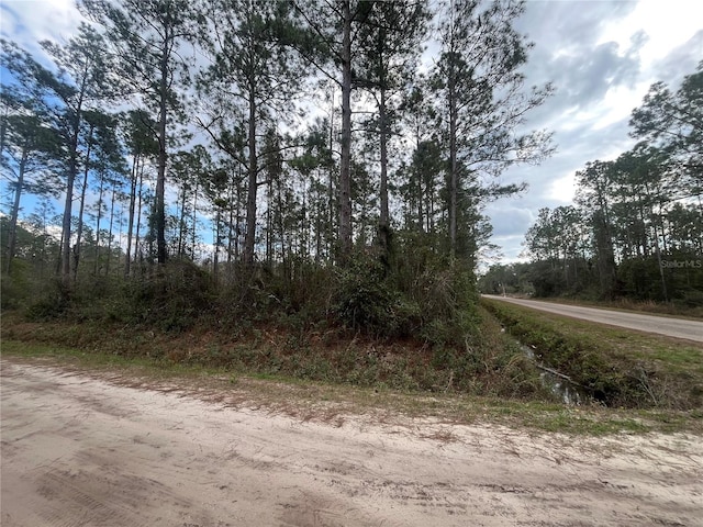 4375 Calvin St, Hastings FL, 32145 land for sale