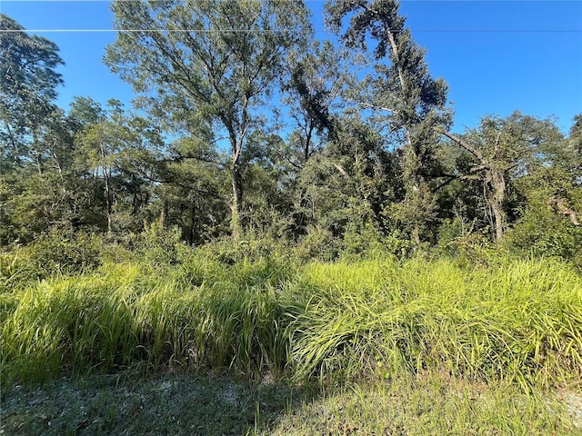 Grindstone Dr, Webster FL, 33597 land for sale